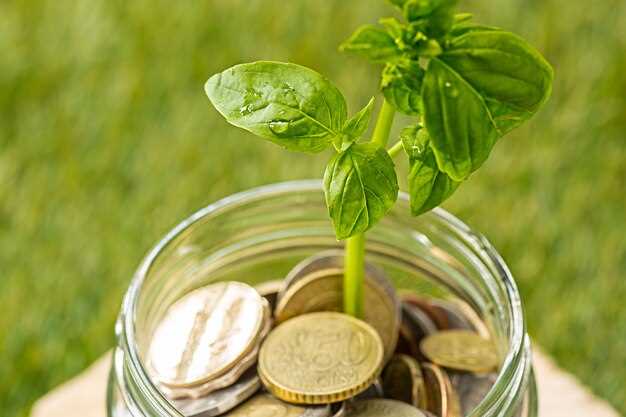 Les bénéfices des petits prêts pour le secteur de l'agriculture respectueuse de l'environnement